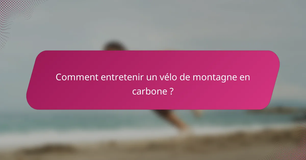 Comment entretenir un vélo de montagne en carbone ?