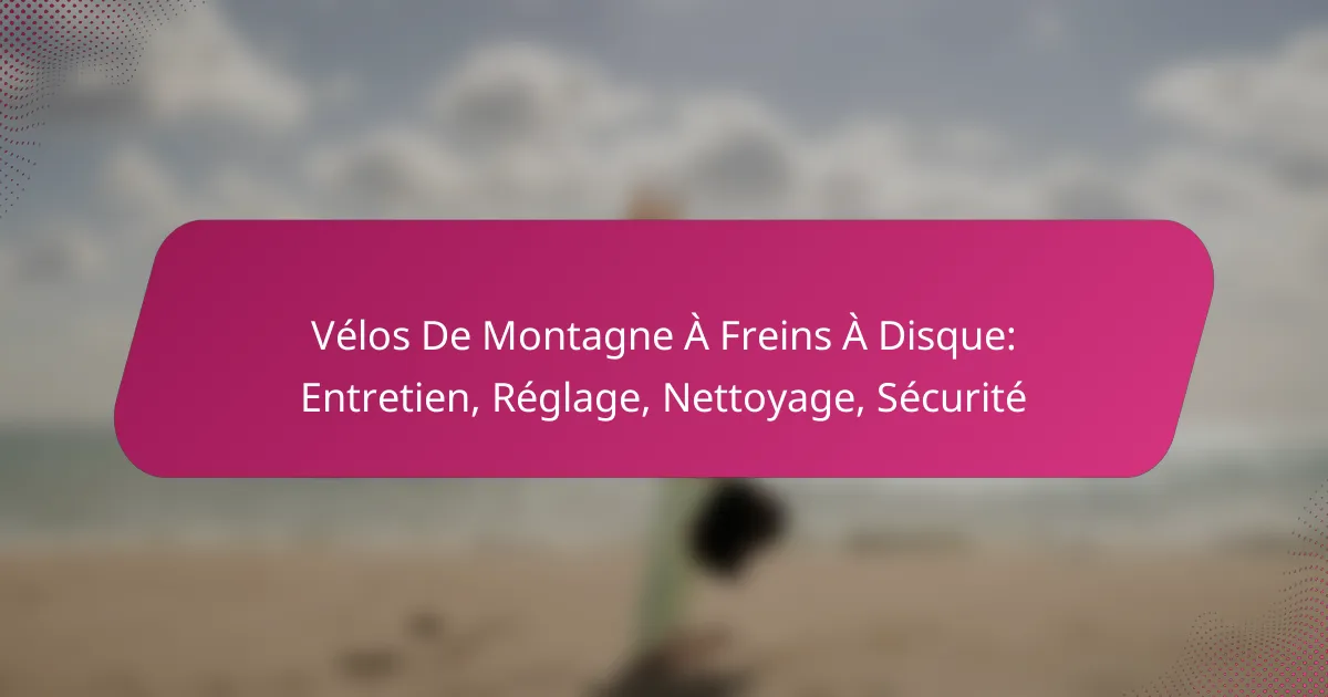 Vélos De Montagne À Freins À Disque: Entretien, Réglage, Nettoyage, Sécurité