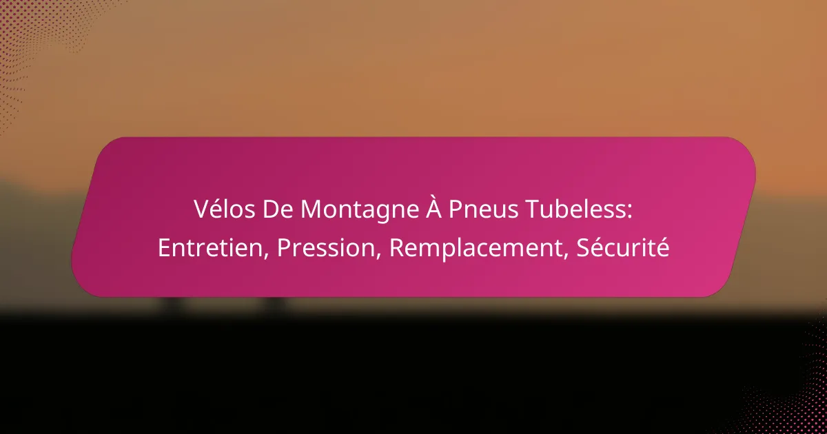 Vélos De Montagne À Pneus Tubeless: Entretien, Pression, Remplacement, Sécurité
