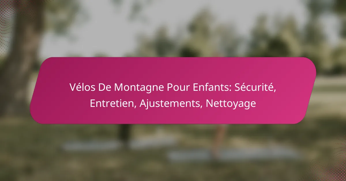 Vélos De Montagne Pour Enfants: Sécurité, Entretien, Ajustements, Nettoyage