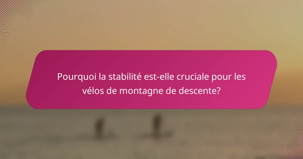 Pourquoi la stabilité est-elle cruciale pour les vélos de montagne de descente?