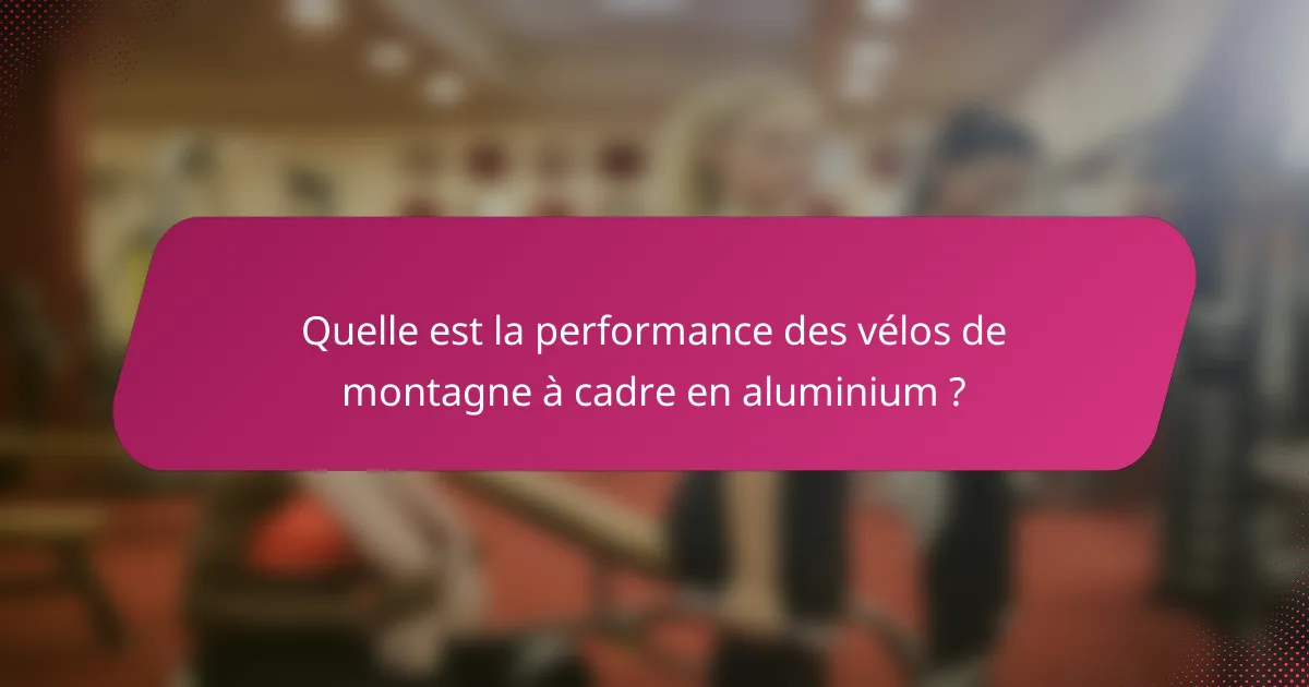 Quelle est la performance des vélos de montagne à cadre en aluminium ?