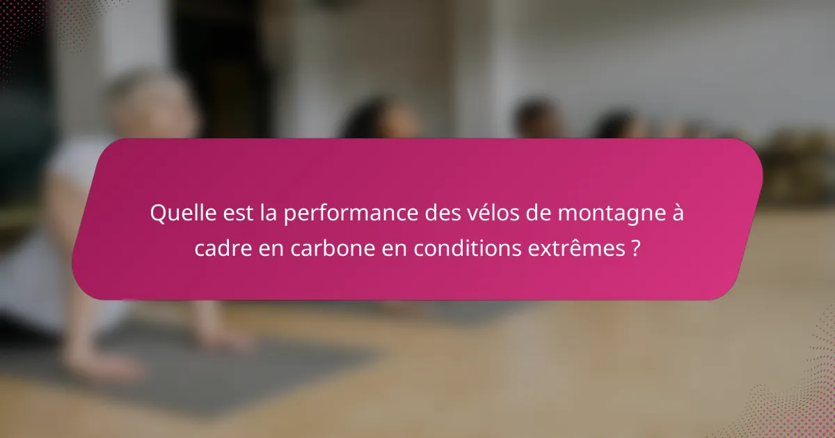 Quelle est la performance des vélos de montagne à cadre en carbone en conditions extrêmes ?