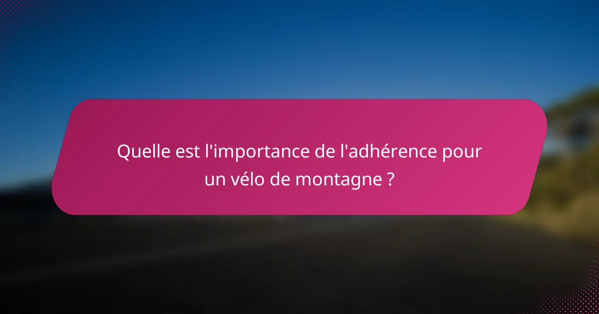 Quelle est l'importance de l'adhérence pour un vélo de montagne ?