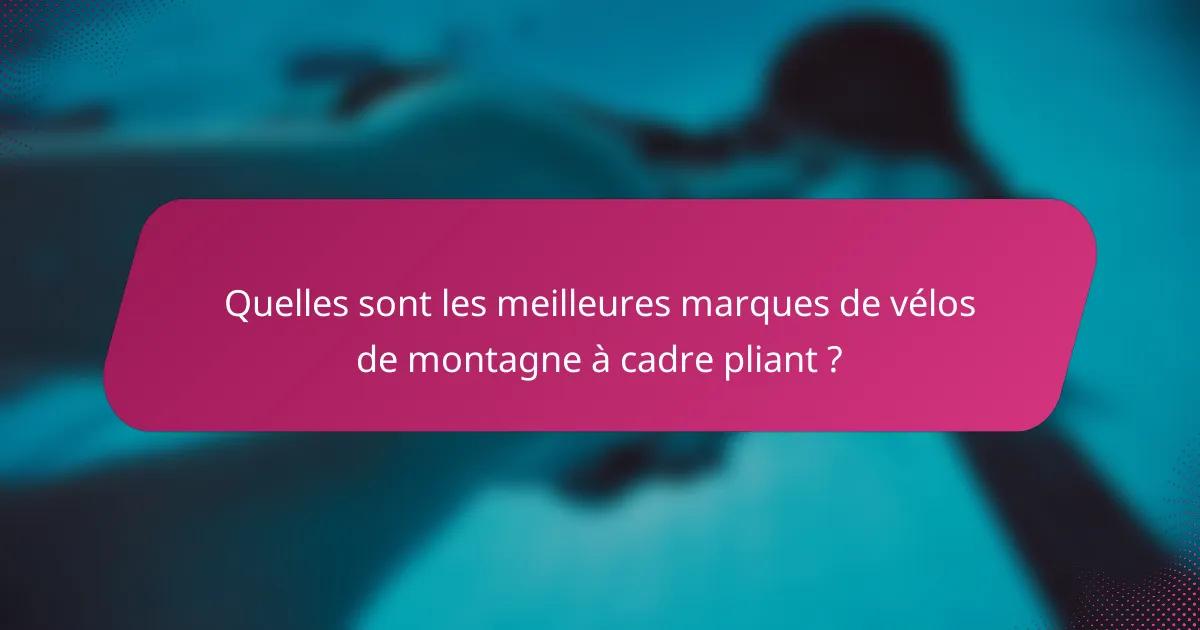 Quelles sont les meilleures marques de vélos de montagne à cadre pliant ?