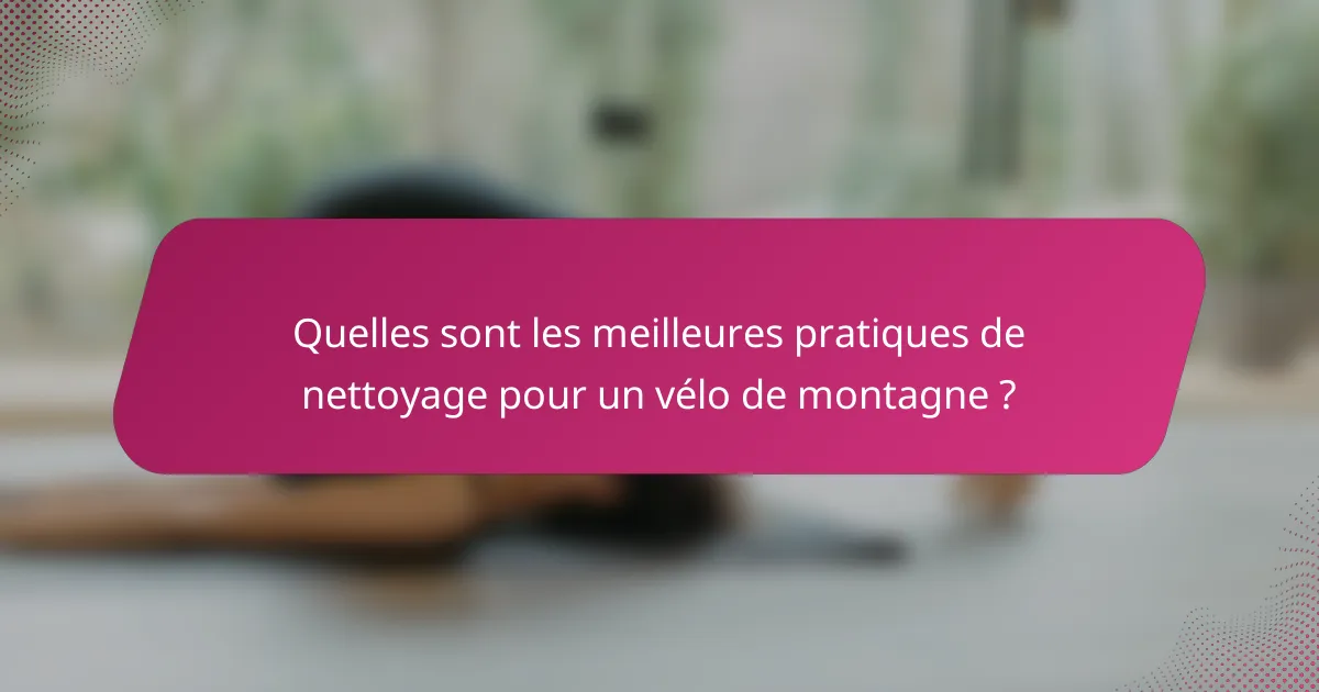 Quelles sont les meilleures pratiques de nettoyage pour un vélo de montagne ?