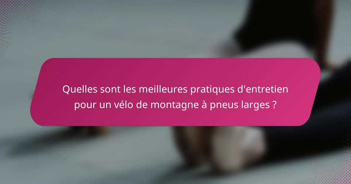 Quelles sont les meilleures pratiques d'entretien pour un vélo de montagne à pneus larges ?