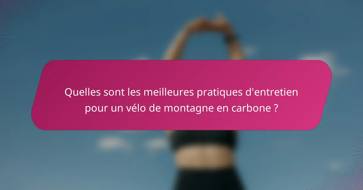 Quelles sont les meilleures pratiques d'entretien pour un vélo de montagne en carbone ?