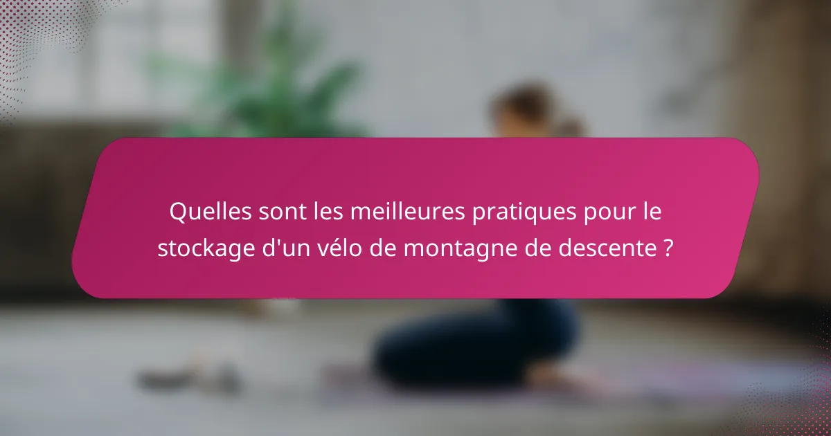 Quelles sont les meilleures pratiques pour le stockage d'un vélo de montagne de descente ?