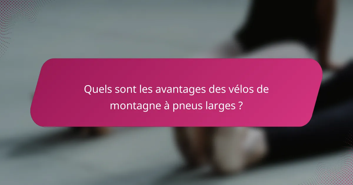 Quels sont les avantages des vélos de montagne à pneus larges ?