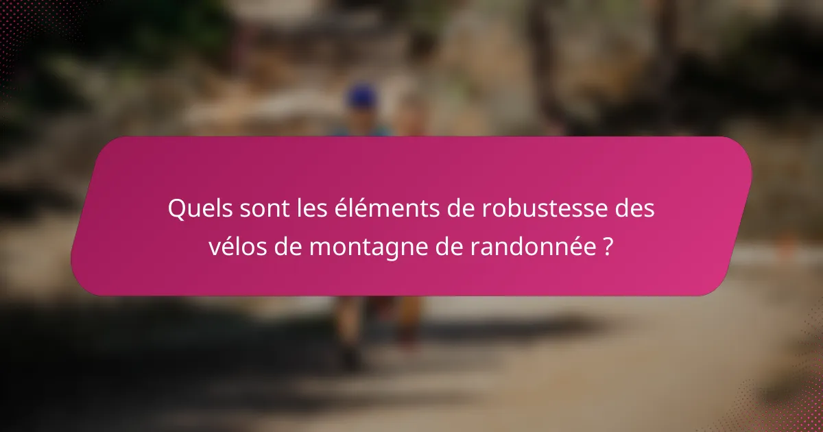 Quels sont les éléments de robustesse des vélos de montagne de randonnée ?